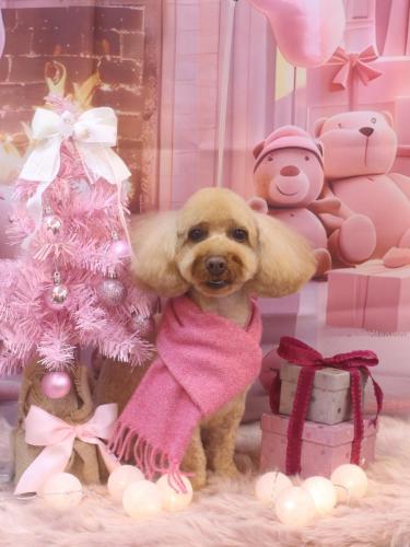 20241219コロンちゃん